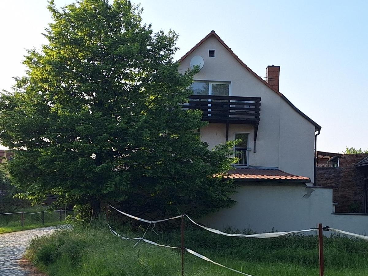 Ferienhaus Herztor Bad Bibra Εξωτερικό φωτογραφία