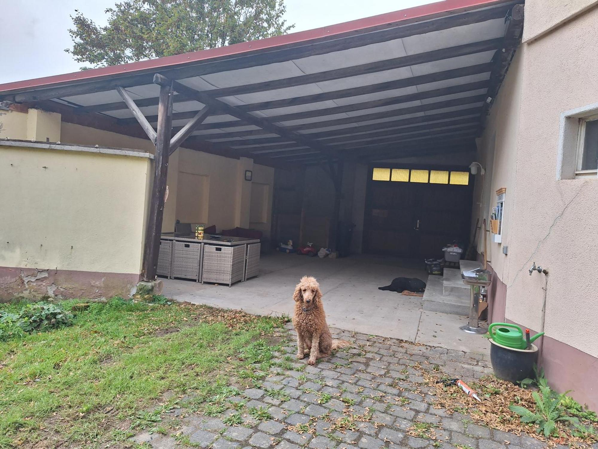 Ferienhaus Herztor Bad Bibra Εξωτερικό φωτογραφία